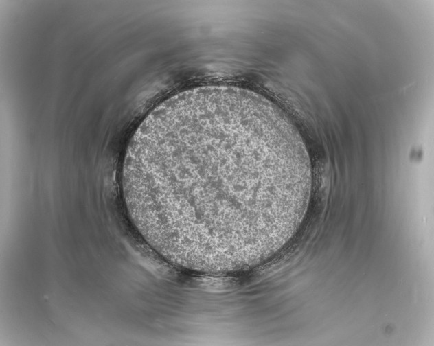 X0000093730615200711131039