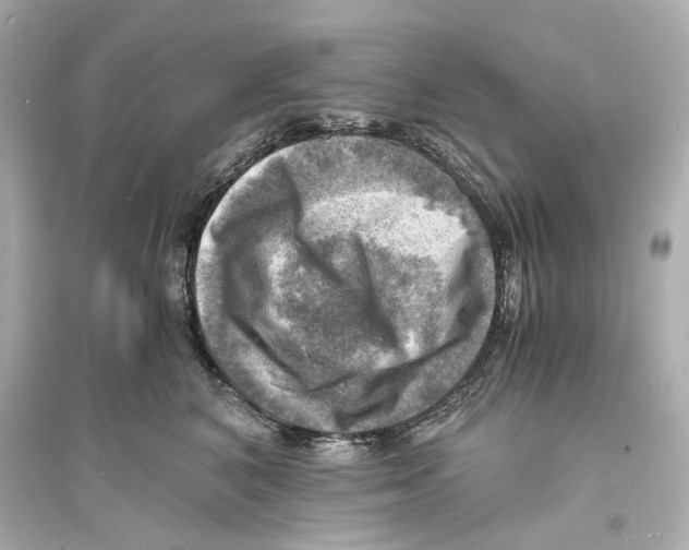 X0000093730616200711131039