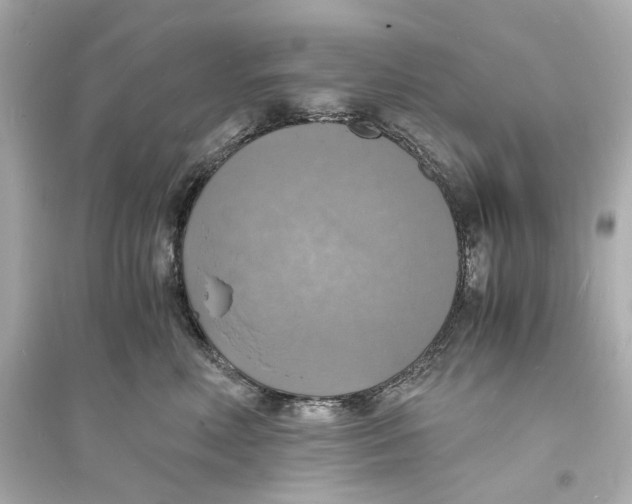 X0000093730618200711131039