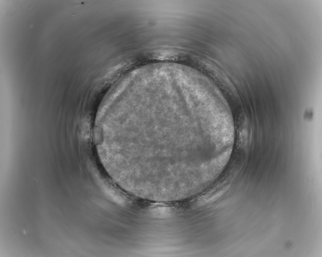 X0000093730620200711131039