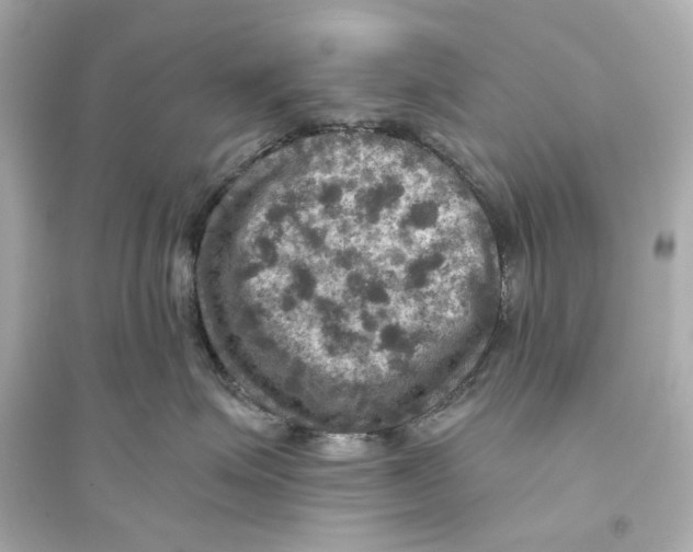 X0000093730623200711131039