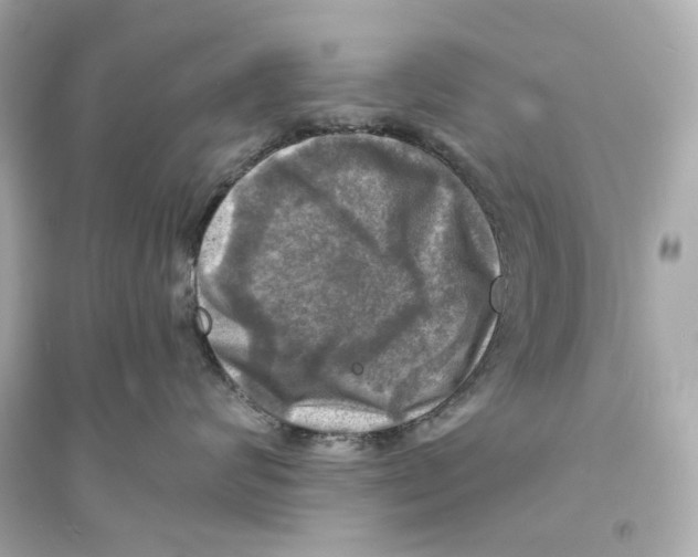 X0000093730624200711131039