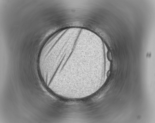 X0000093730625200711131039