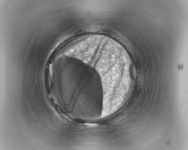 X0000093730626200711131039