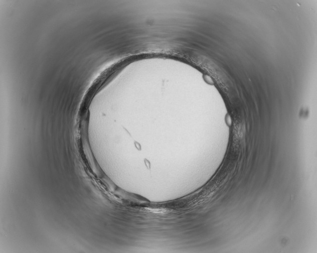 X0000093730628200711131039