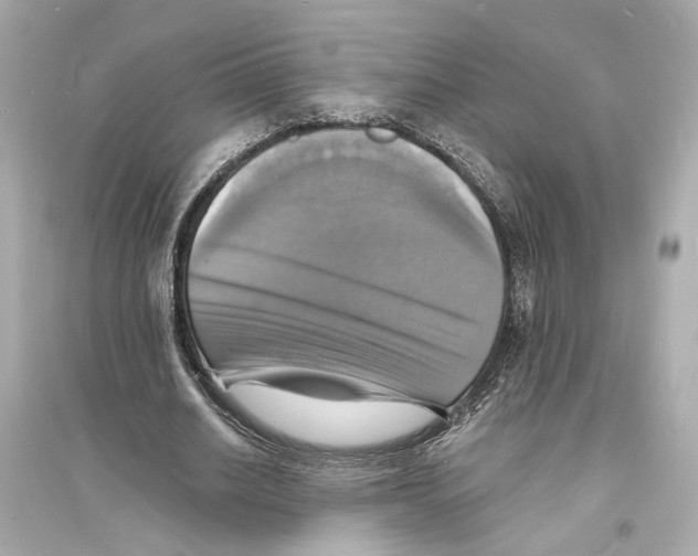 X0000093730630200711131039