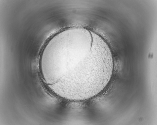 X0000093730632200711131039