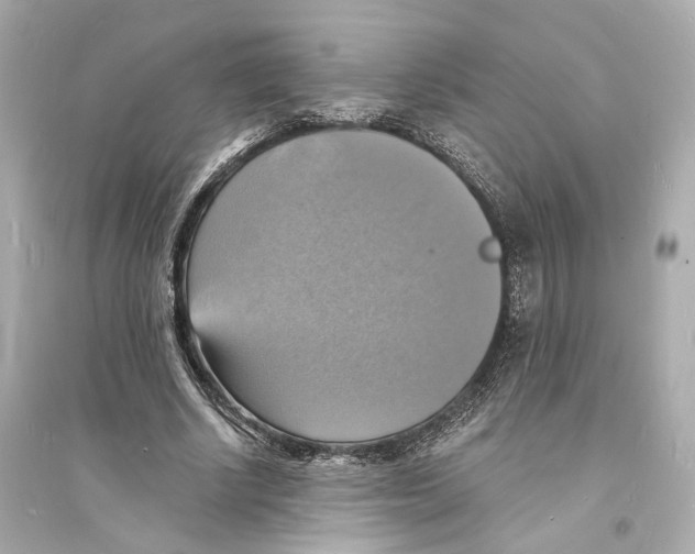 X0000093730634200711131039
