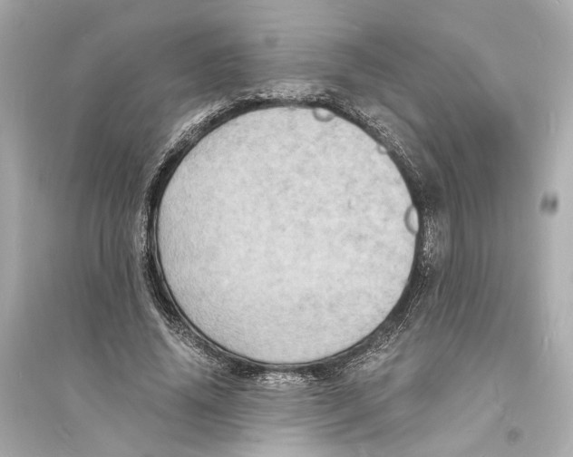 X0000093730636200711131039