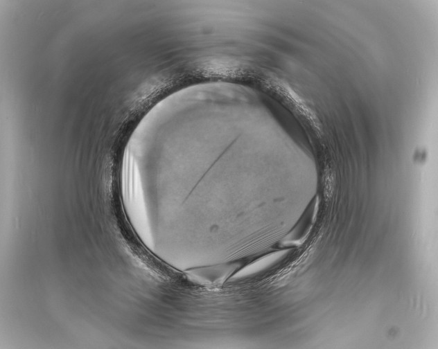 X0000093730637200711131039