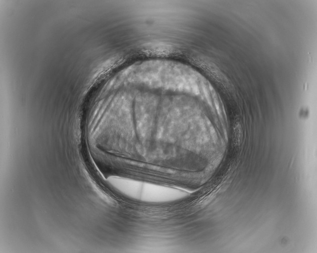 X0000093730638200711131039