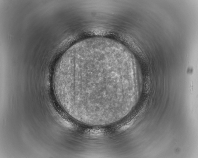 X0000093730639200711131039