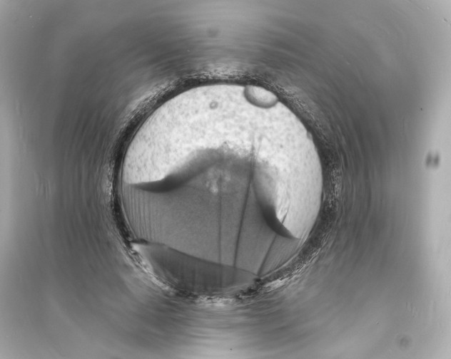 X0000093730640200711131039