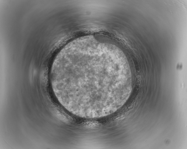 X0000093730642200711131039