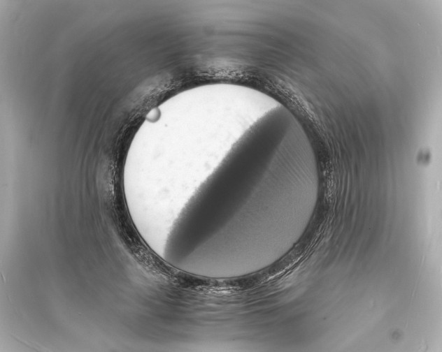 X0000093730643200711131039