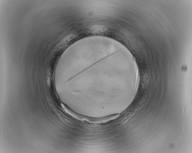 X0000093730644200711131039