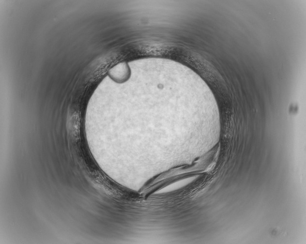 X0000093730646200711131039