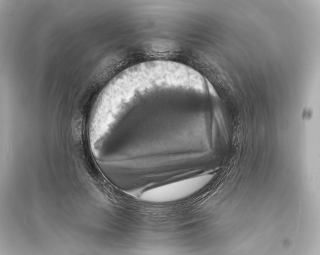X0000093730647200711131039