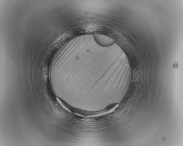 X0000093730648200711131039