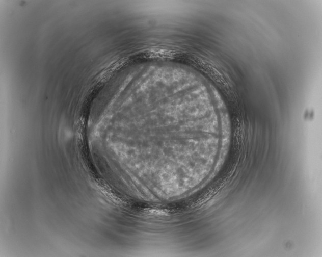 X0000093730649200711131039