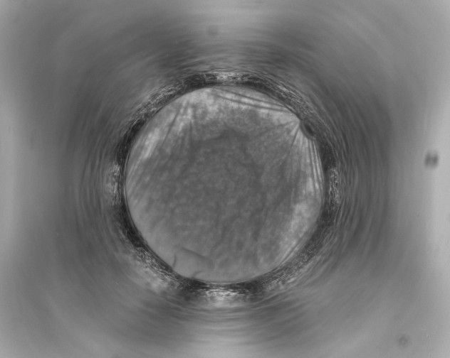 X0000093730650200711131039