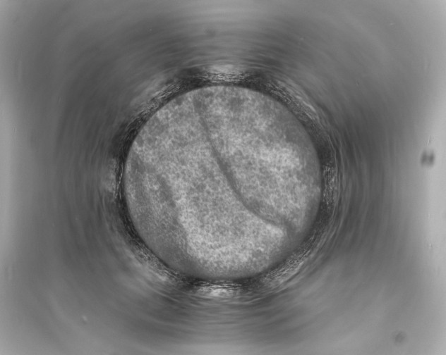 X0000093730655200711131039