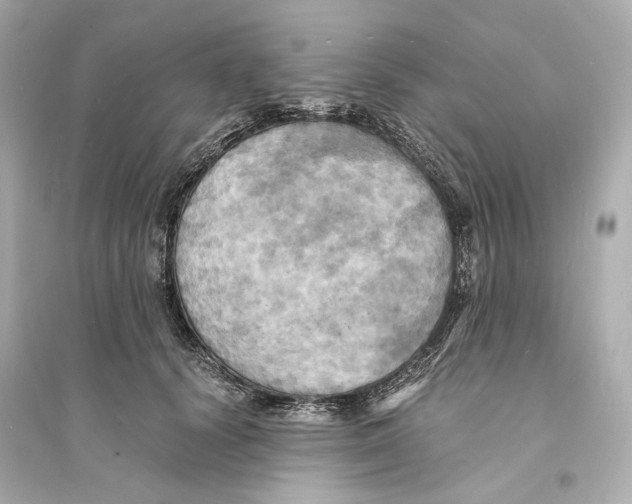 X0000093730656200711131039