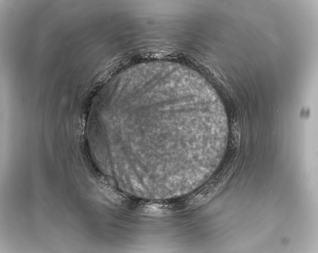 X0000093730657200711131039