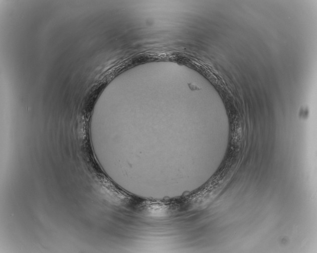 X0000093730658200711131039