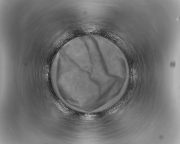 X0000093730664200711131039