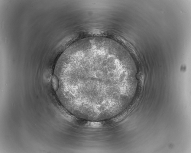 X0000093730665200711131039