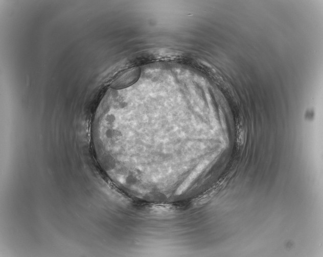 X0000093730666200711131039