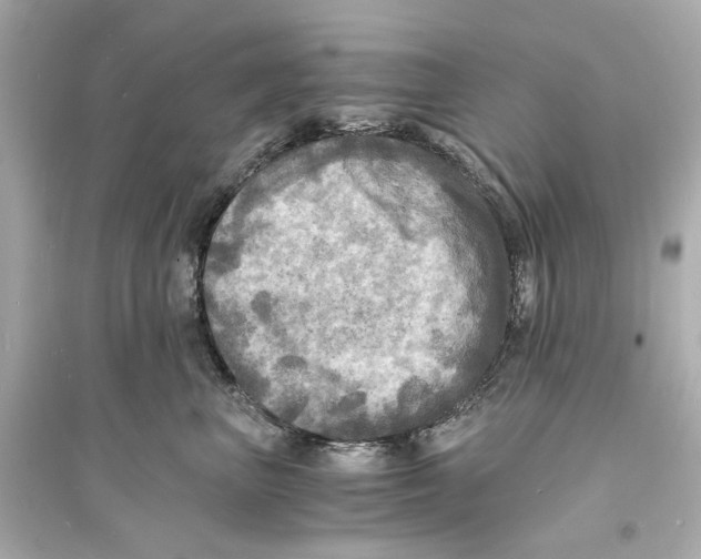 X0000093730667200711131039