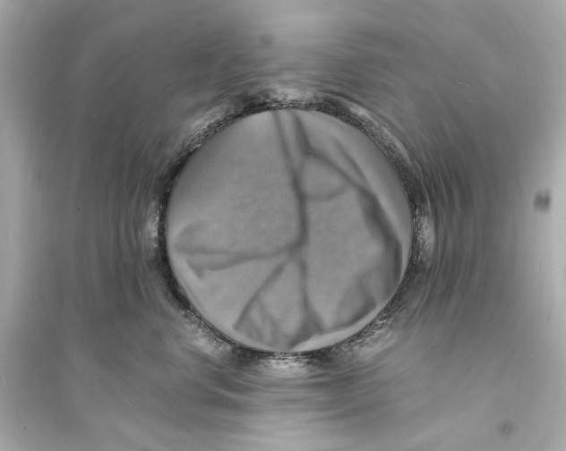 X0000093730668200711131039