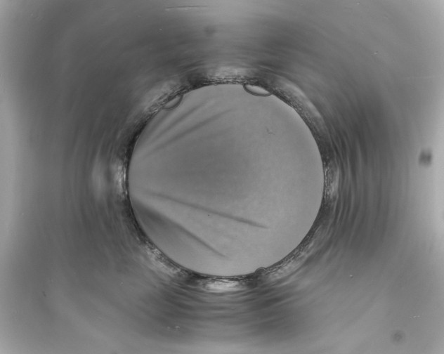 X0000093730669200711131039