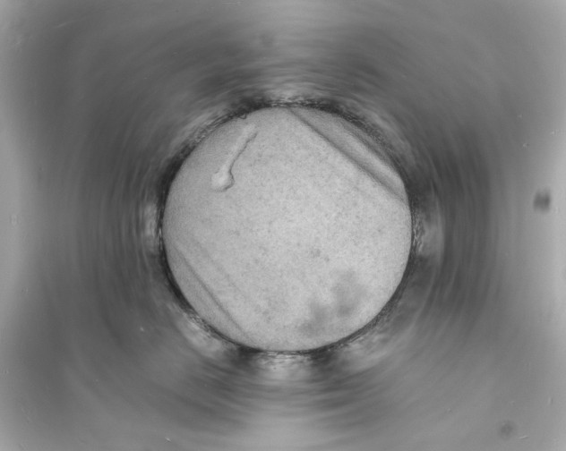 X0000093730670200711131039