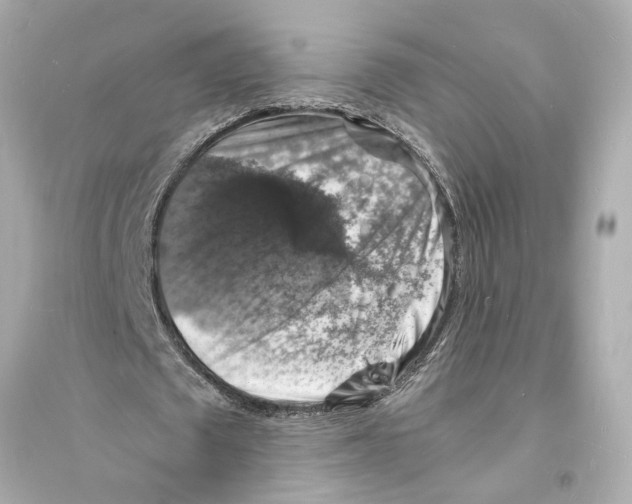 X0000093730673200711131039