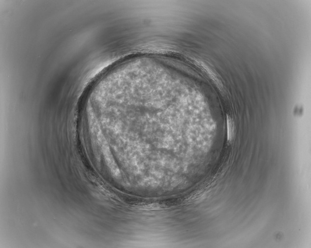 X0000093730675200711131039