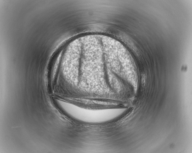 X0000093730676200711131039
