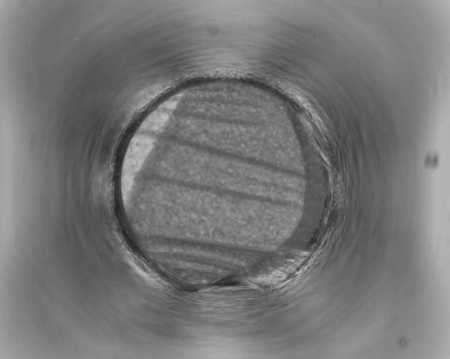 X0000093730677200711131039