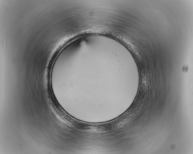 X0000093730678200711131039