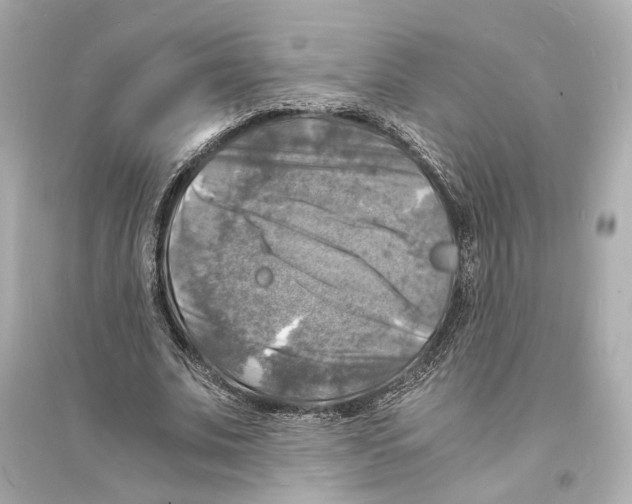 X0000093730679200711131038
