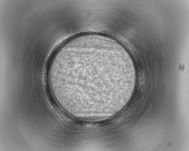 X0000093730680200711131038