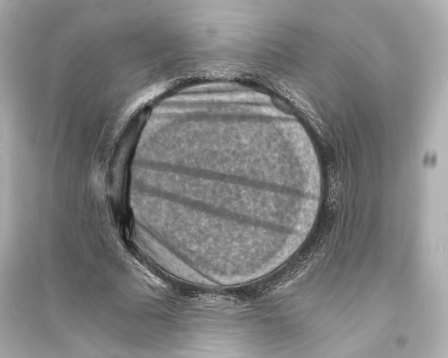 X0000093730681200711131038