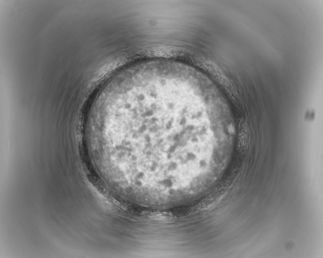 X0000093730683200711131038