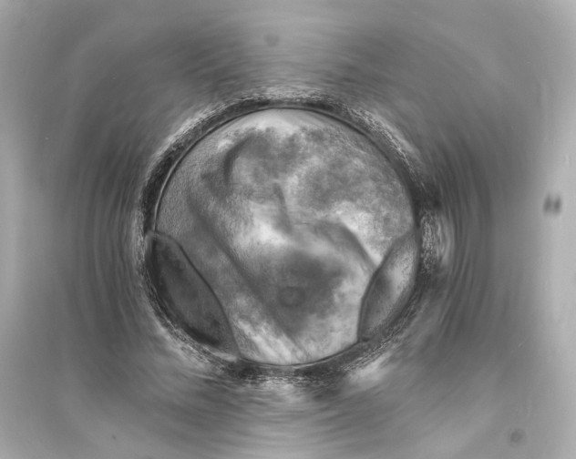 X0000093730684200711131038