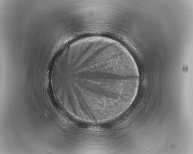 X0000093730685200711131038
