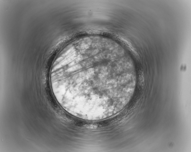 X0000093730687200711131038
