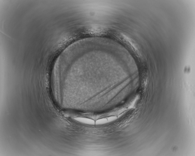 X0000093730689200711131038