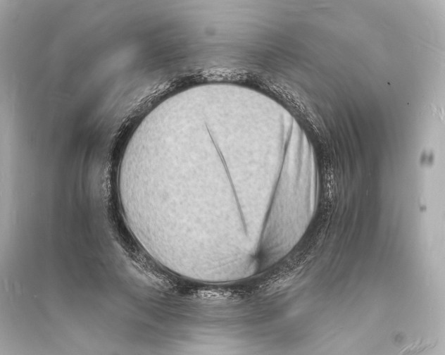 X0000093730690200711131038